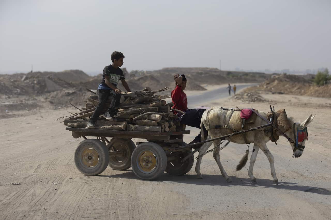 Boy rides on cart pulled by Donkey