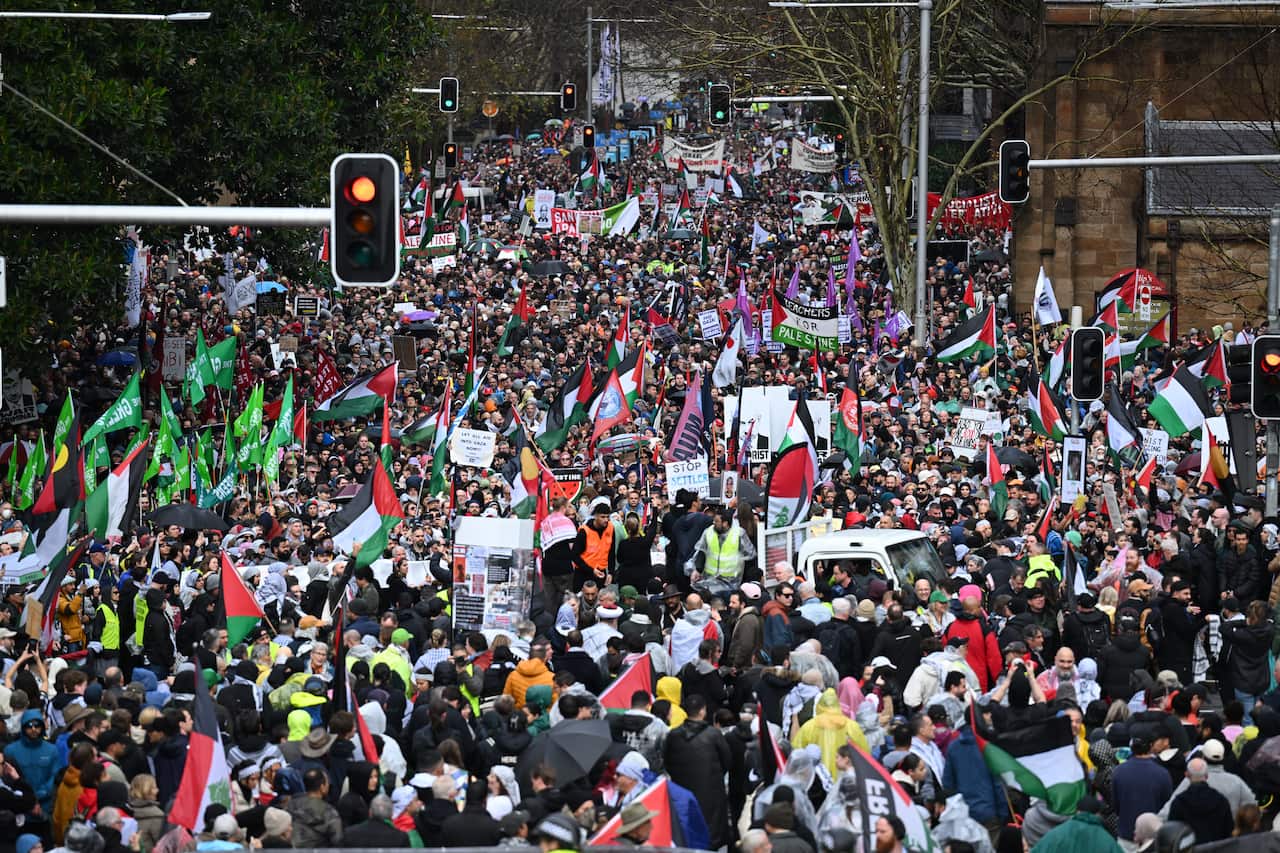 Thousands of protesters carrying Palestinian flags and signs march down a city street.